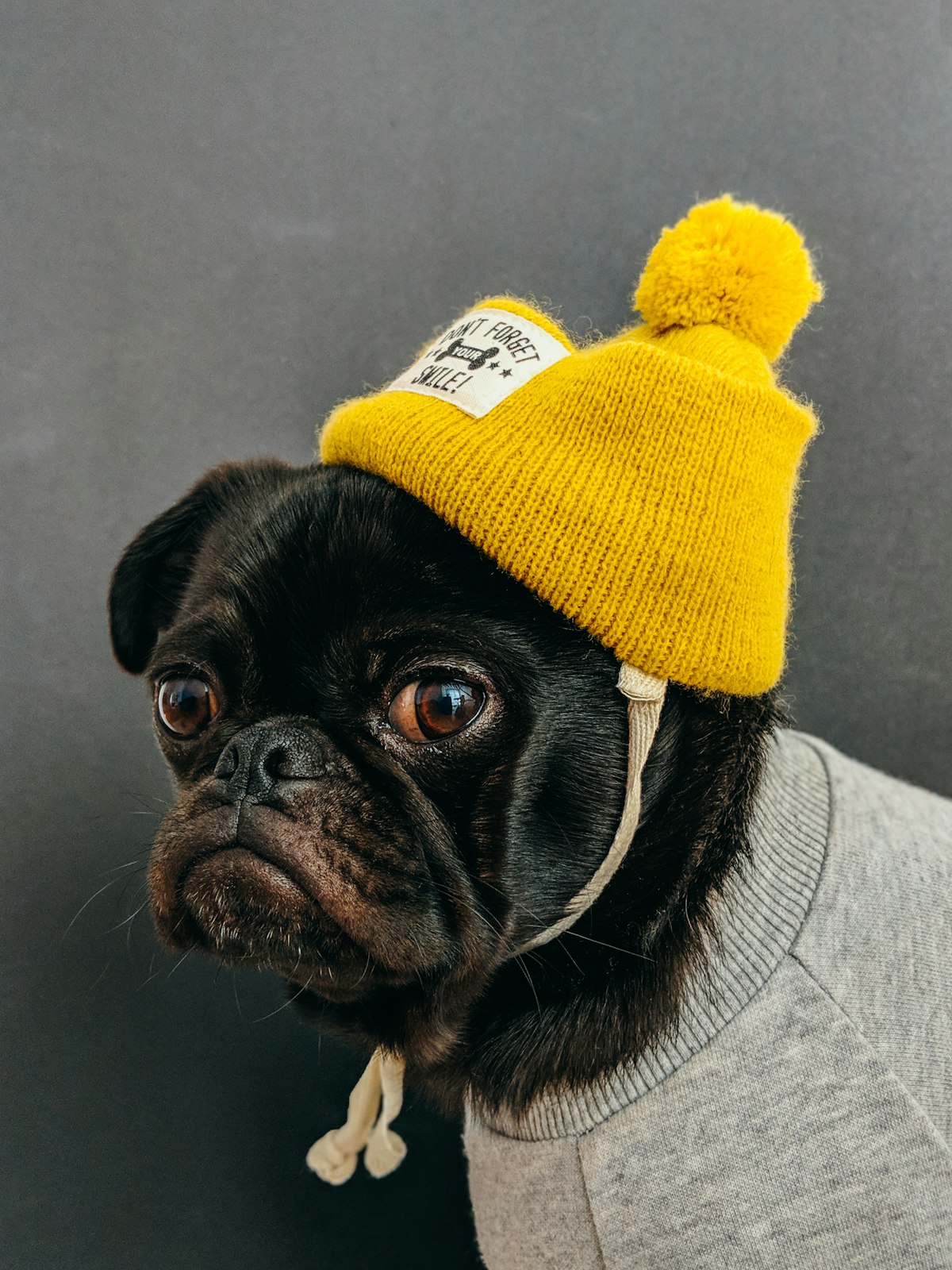 Pet care connected to retail products